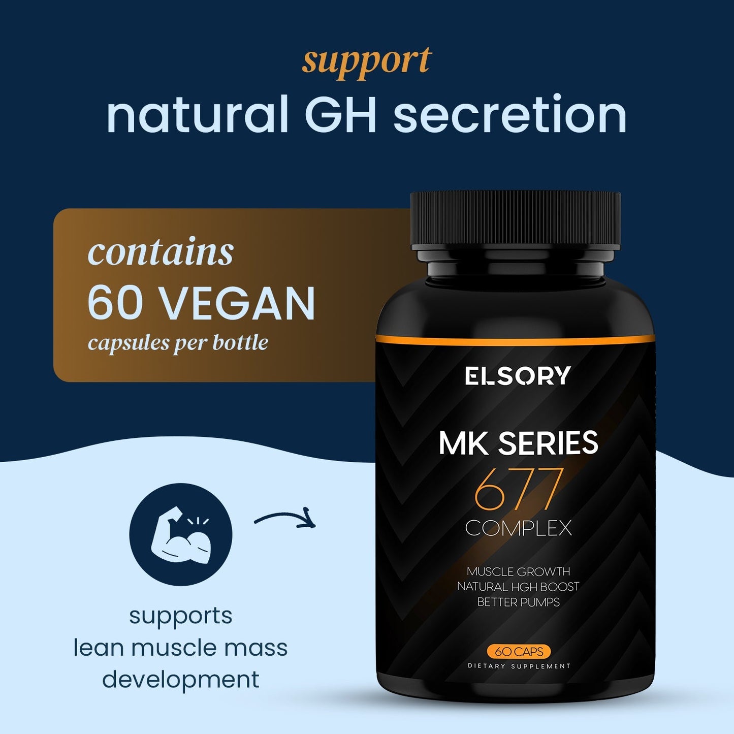 MK Series - 677 Complex